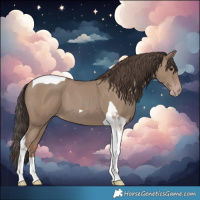 Horse Color:Classic Champagne Tobiano 