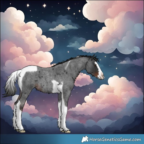 Horse Color:Liver Red Roan Splash Tobiano 