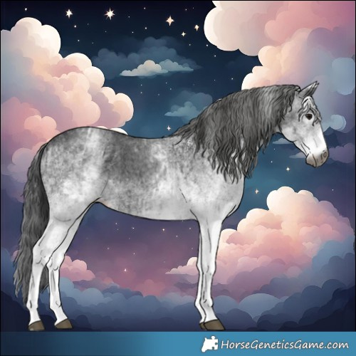 Horse Color:Gray White Spotted Black  and Gray White Spotted Black 