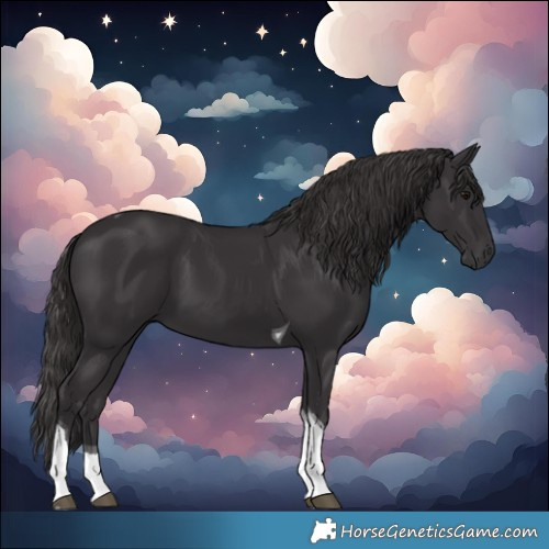 Horse Color:Smoky Black Tobiano 