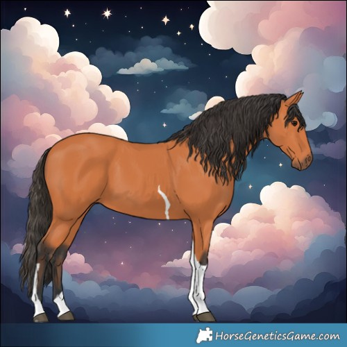 Horse Color:Bay Tobiano