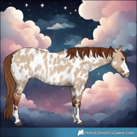 Horse Color:Red Dun Near Leopard Rabicano 