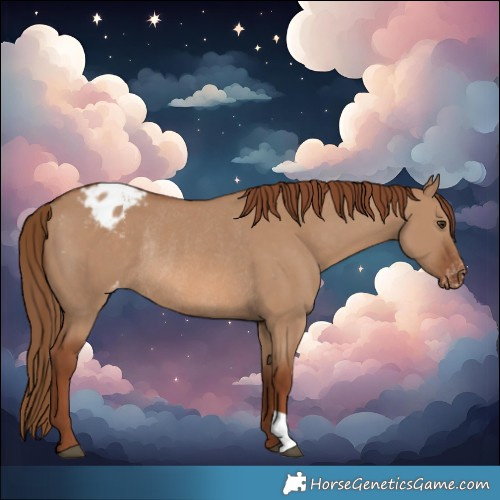 Horse Color:Red Dun Varnish Rabicano 