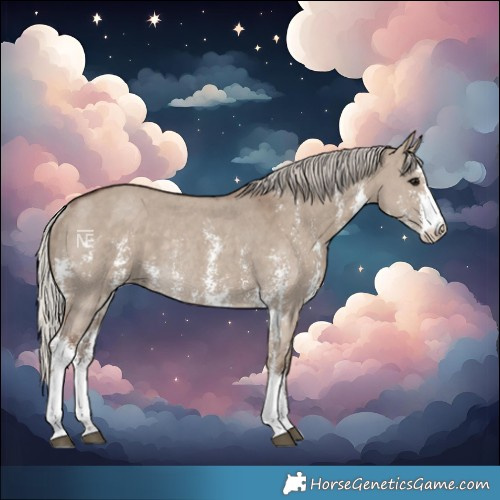 Horse Color:Silver Grullo Sabino Rabicano