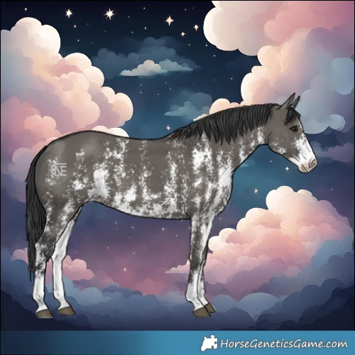 Horse Color:Grullo Sabino Rabicano 