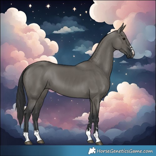 Horse Color:Grullo 