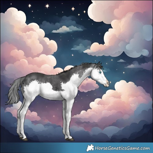 Horse Color:Black Splash 