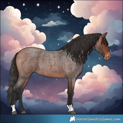 Horse Color:Bay Roan Varnish 