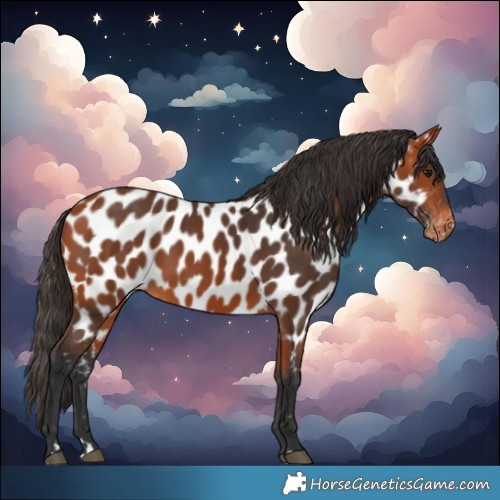 Horse Color:Bay Near Leopard