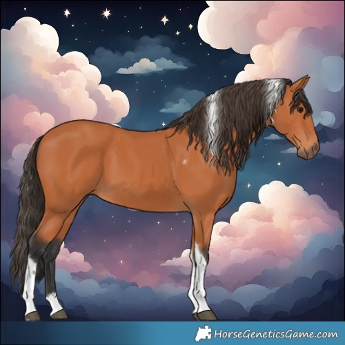Horse Color:Bay Tobiano Frame