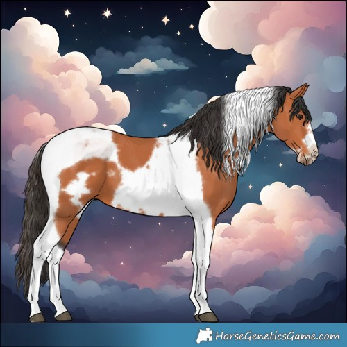 Horse Color:Bay Tobiano Frame 