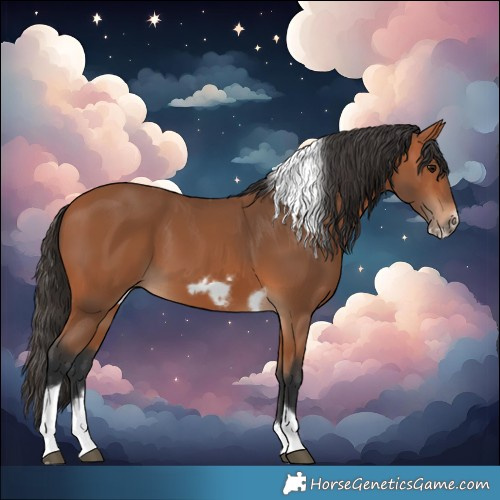 Horse Color:Bay Tobiano Frame