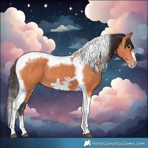 Horse Color:Bay Tobiano Frame 