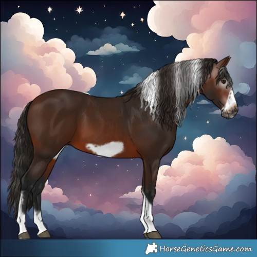 Horse Color:Gray Bay Tobiano Frame