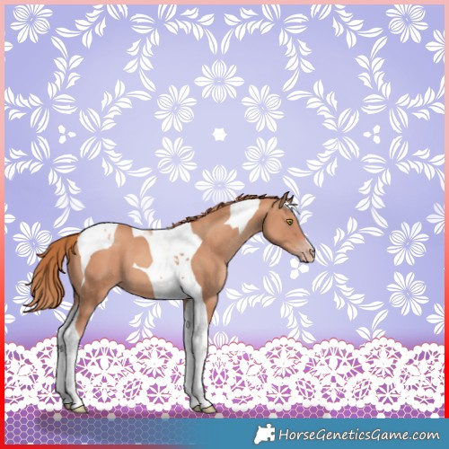 Horse Color:Gold Champagne Tobiano 