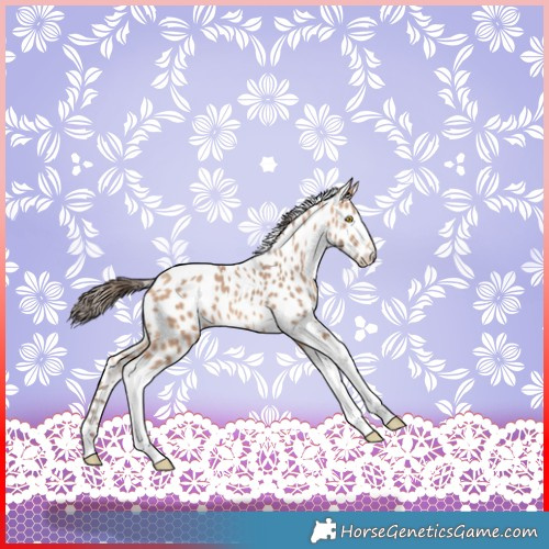 Horse Color:Amber Champagne Tobiano Leopard 