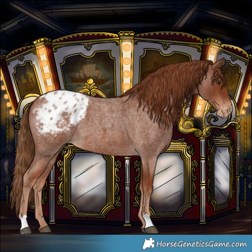 Horse Color:Red Roan Blanket