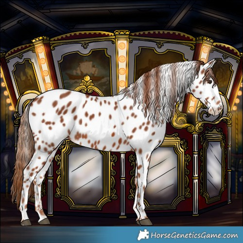 Horse Color:Chestnut Leopard 