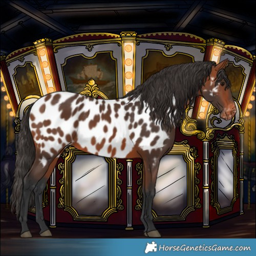 Horse Color:Bay Near Leopard 