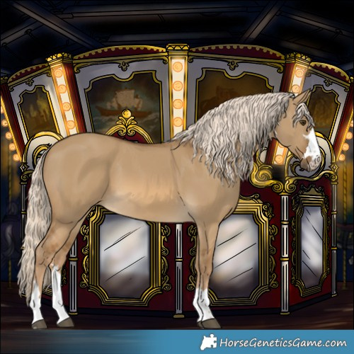 Horse Color:Chocolate Palomino Dun