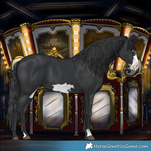 Horse Color:Black Frame