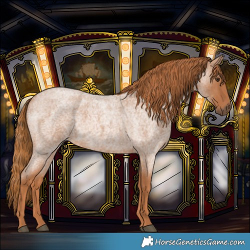 Horse Color:Red Roan 