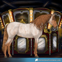 Horse Color:Red Roan 