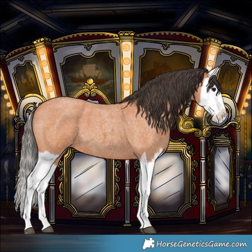 Horse Color:Bay Roan Splash