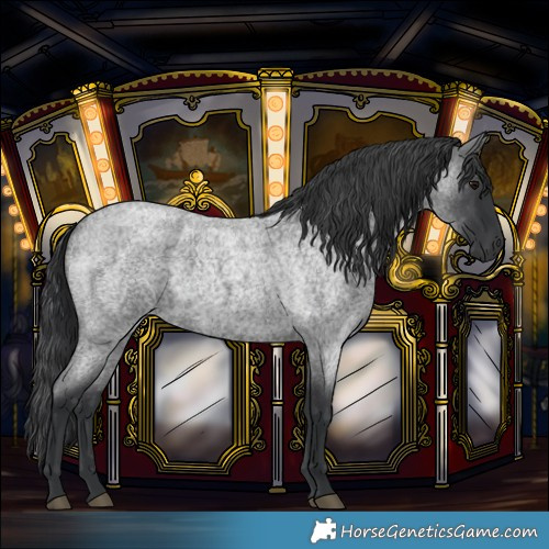 Horse Color:Blue Roan