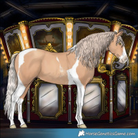 Horse Color:Gold Champagne Splash Tobiano 