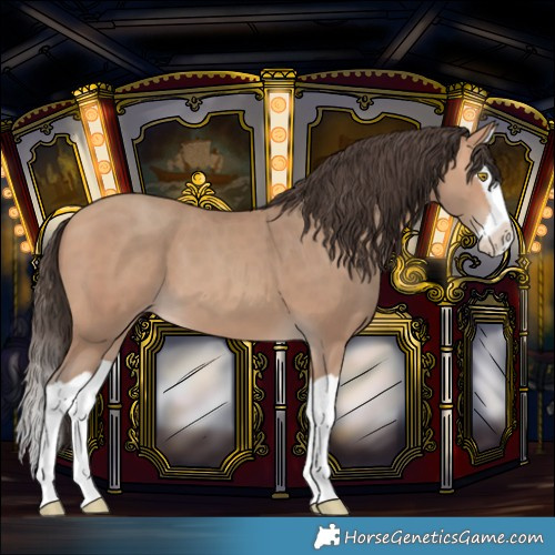 Horse Color:Amber Champagne Splash 