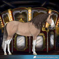 Horse Color:Amber Champagne Splash 