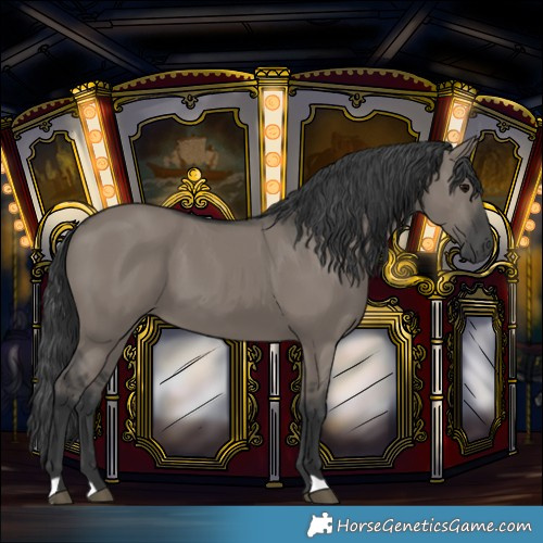 Horse Color:Grullo 