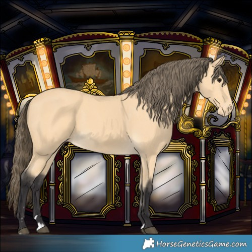 Horse Color:Buckskin Varnish