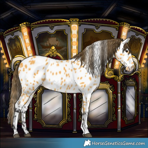 Horse Color:Buckskin Near Leopard