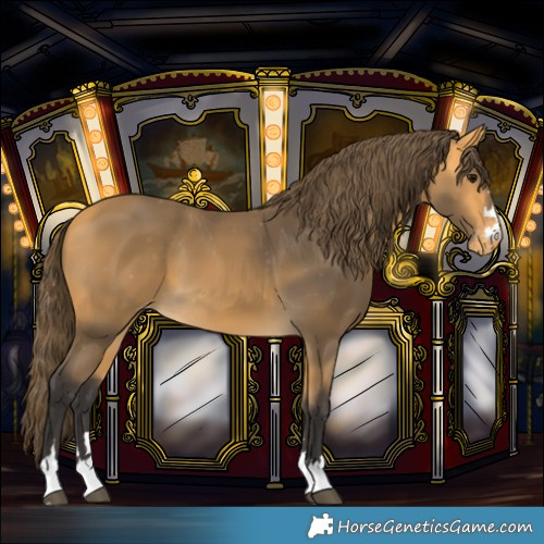 Horse Color:Buckskin Varnish