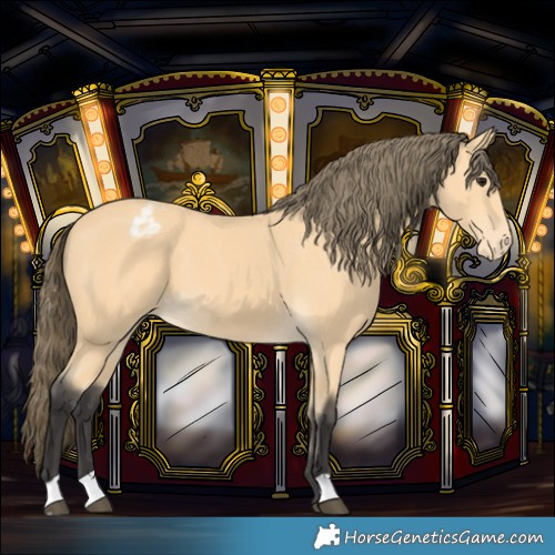 Horse Color:Buckskin Varnish 