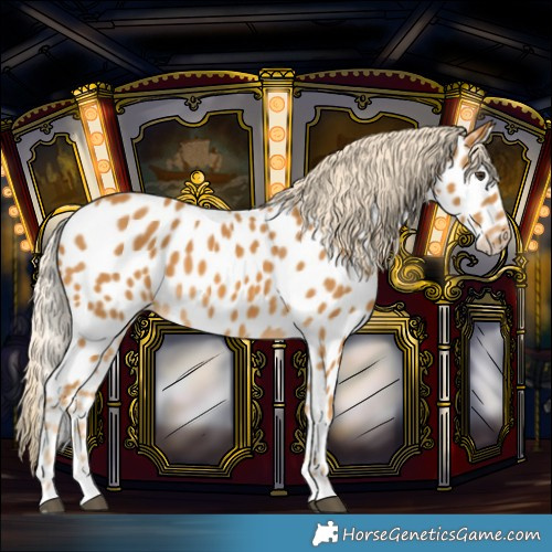 Horse Color:Palomino Near Leopard 