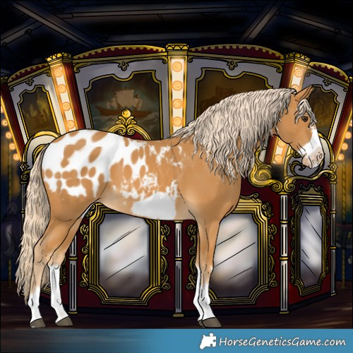 Horse Color:Palomino Frame Blanket