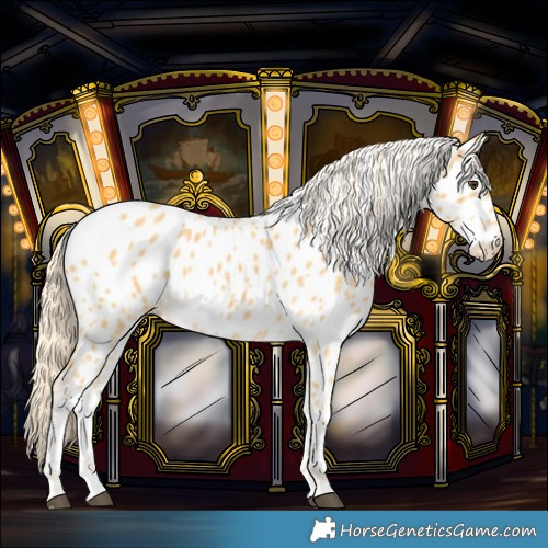 Horse Color:Palomino Near Leopard 