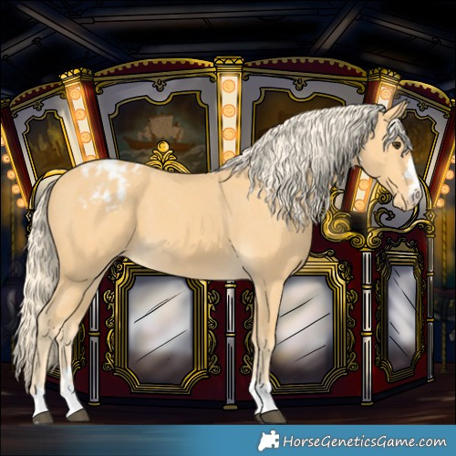 Horse Color:Palomino Blanket 