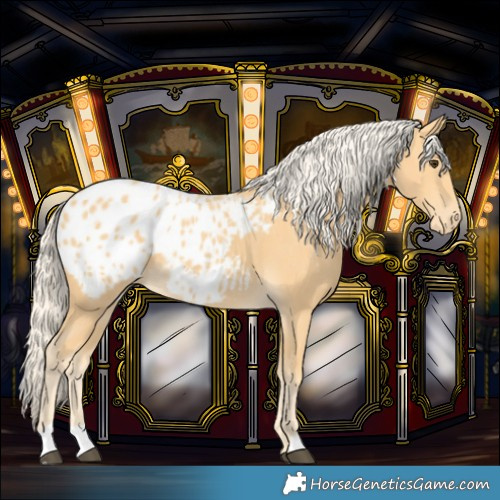 Horse Color:Palomino Blanket 