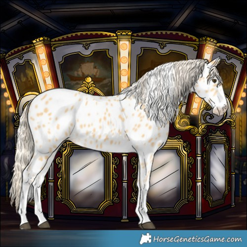 Horse Color:Palomino Near Leopard 