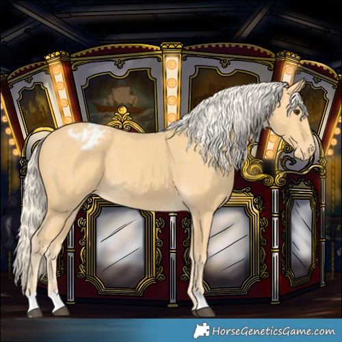 Horse Color:Palomino Varnish 