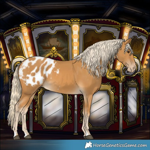Horse Color:Palomino Blanket