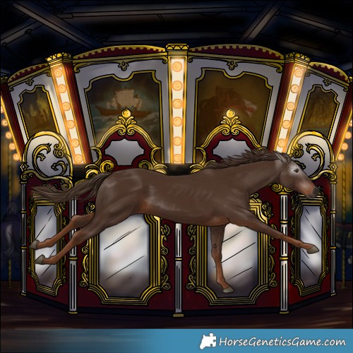 Horse Color:Gray Chestnut 