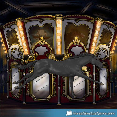 Horse Color:Black 
