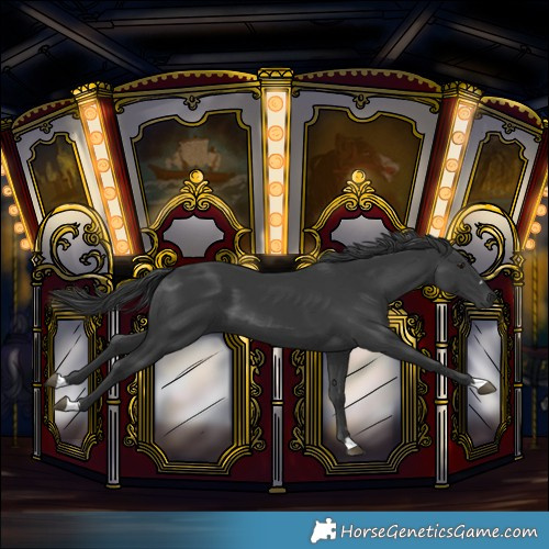 Horse Color:Black 