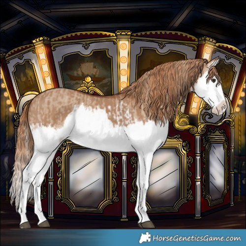 Horse Color:Red Dun Splash and Red Dun Splash