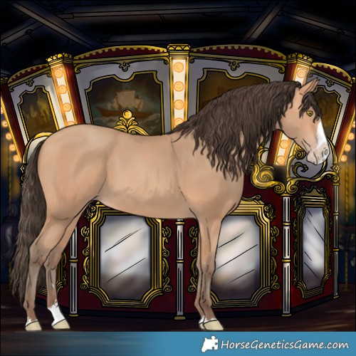 Horse Color:Amber Champagne Splash 